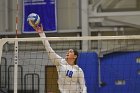 Wheaton Women's Volleyball  Wheaton Women's Volleyball vs Bridgewater State University. : Wheaton, Volleyball, BSU, Bridgewater State College